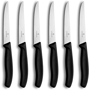 Amazon.com: Victorinox Swiss Classic 18-piece Knife Block Set